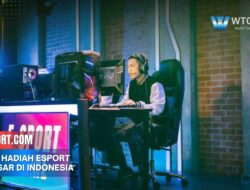 Rekor Hadiah Esport Terbesar di Indonesia: Turnamen Mana Saja 2025?