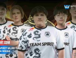 Team Spirit MLBB dari Negara Mana dan Asal Usul Timnya