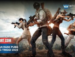 Urutan Rank PUBG paling tinggi 2025 panduan naik level