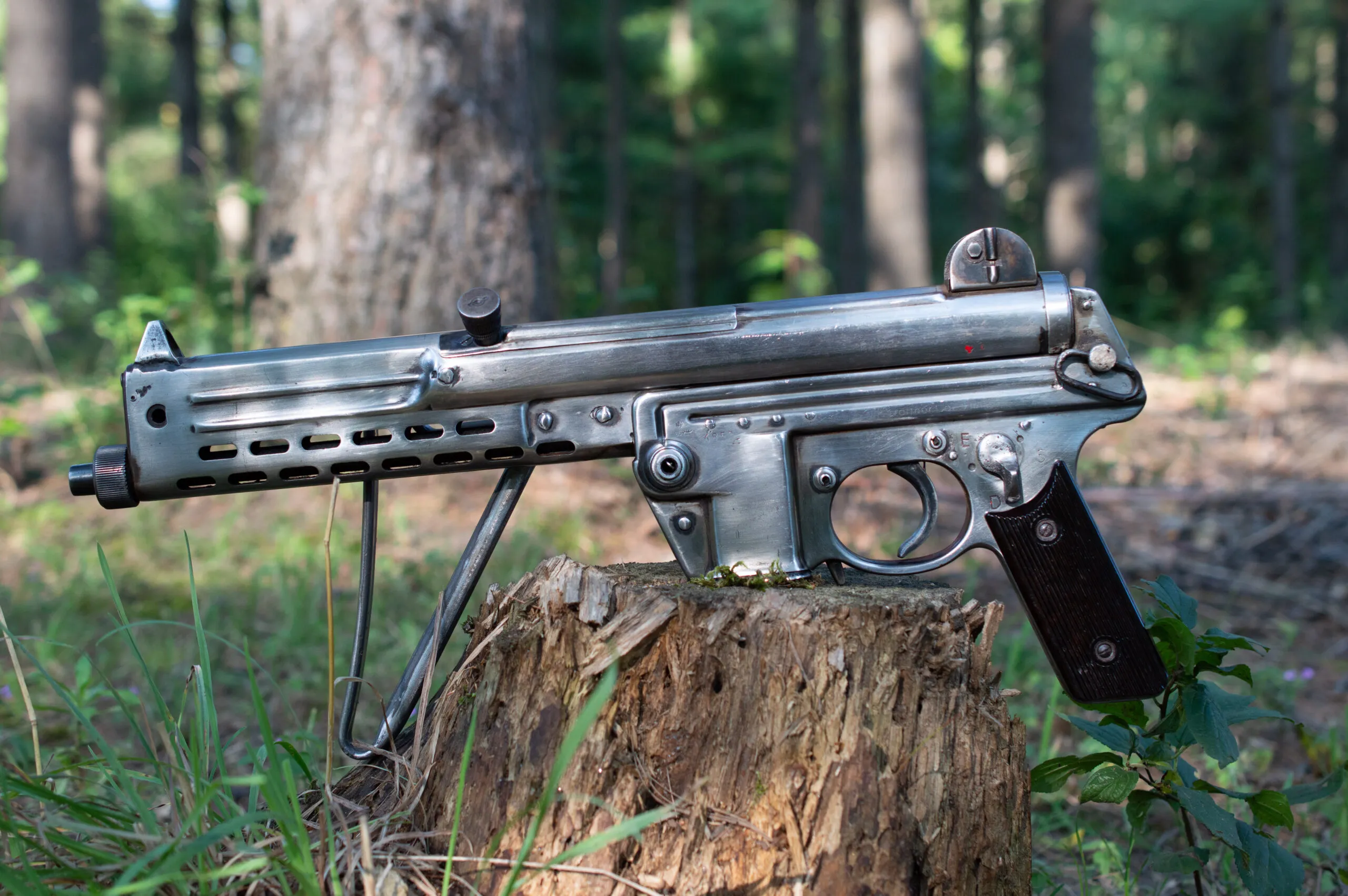 Walther MPL or MP5: Which Submachine Gun Is Superior?