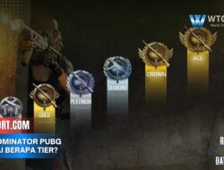 Ace Dominator PUBG Sampai Berapa Tier? Cek Syaratnya