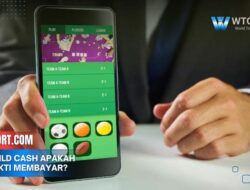 Apk Wild Cash apakah terbukti membayar? Review & Bukti Cair Kini!