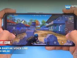 Berapa banyak voice line yang di miliki setiap karakter di kolab mlbb x naruto