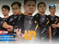 Gaji Pro Player ML Tertinggi di Indonesia, Ini Dia Sosok Besarnya