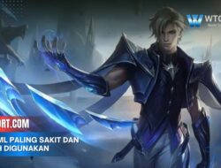 Hero ML Paling Sakit Dan Mudah Digunakan Untuk Pemula