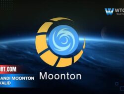 Kata sandi moonton yang Valid ini cara cek keamanan akun terbaru