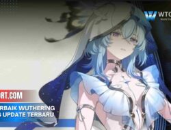 DPS terbaik Wuthering Waves Update Terbaru 2025 Wajib Punya
