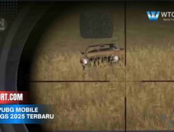 Sem9 PUBG Mobile Settings 2025 Terbaru Anti Gagal Esports