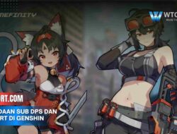 Perbedaan Sub Dps Dan Support Di Genshin, Wajib Tahu!