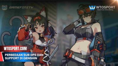 Perbedaan Sub Dps Dan Support Di Genshin, Wajib Tahu!