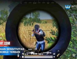 Settingan sensitivitas pubg mobile terbaik no recoil ala Pro