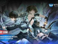 Cara menggunakan WuWa Tracker Pity Counter Akurat 2025
