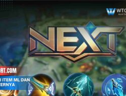 Fungsi item ML dan counternya, panduan lengkap pemula