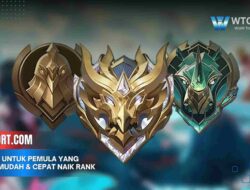 Role ML untuk Pemula yang Paling Mudah & Cepat Naik Rank