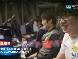 Umur pro player ml tertua di dunia, siapa dia? Update 2025