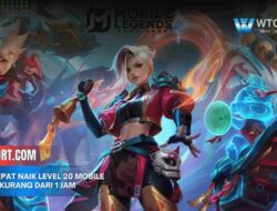 Cara Cepat Naik Level 20 Mobile Legend Kurang dari 1 Jam
