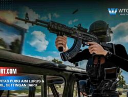 Sensitivitas PUBG Aim Lurus & No Recoil, Settingan Baru