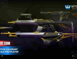 Sensitivitas valorant terbaik Ala Pro Player di 2025