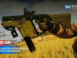 Cara Melihat Statistik Senjata PUBG Mobile Terlengkap