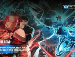 Code Redeem Roblox Blox Fruit Terbaru 2025 yang Masih Aktif