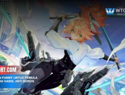 Cara Main Fanny untuk Pemula Kabel Tidak Habis, Anti Boros Energi