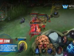 Berapa Jumlah Serangan Ultimate Hayabusa? Ini Penjelasan Lengkapnya