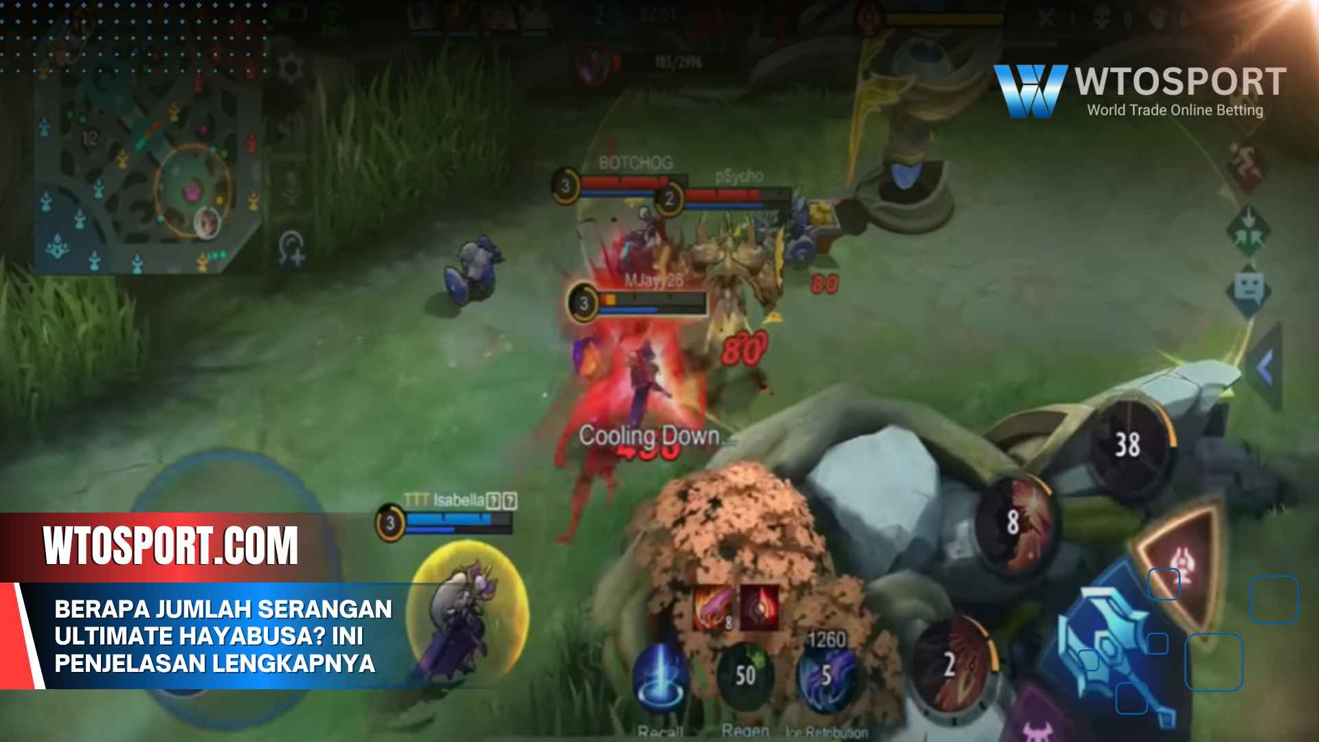 Berapa Jumlah Serangan Ultimate Hayabusa? Ini Penjelasan Lengkapnya